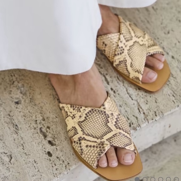 everlane day crossover sandal in snake embossed - Picture 1 of 2